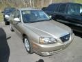 Champagne Metallic - Elantra GLS Sedan Photo No. 1