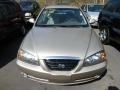 Champagne Metallic - Elantra GLS Sedan Photo No. 5