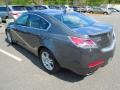 Polished Metal Metallic - TL 3.5 Photo No. 5