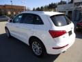 2009 Ibis White Audi Q5 3.2 Premium quattro  photo #3