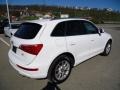 2009 Ibis White Audi Q5 3.2 Premium quattro  photo #5