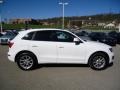 2009 Ibis White Audi Q5 3.2 Premium quattro  photo #6