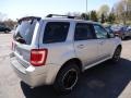 Ingot Silver Metallic - Escape XLT Sport V6 AWD Photo No. 2