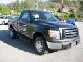 Tuxedo Black Metallic 2012 Ford F150 XL Regular Cab 4x4 Exterior