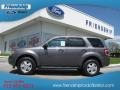 2012 Sterling Gray Metallic Ford Escape XLT  photo #1