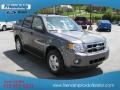 2012 Sterling Gray Metallic Ford Escape XLT  photo #4