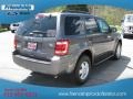 Sterling Gray Metallic - Escape XLT Photo No. 6