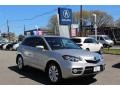 Palladium Silver Metallic - RDX SH-AWD Technology Photo No. 1