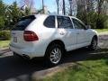 Sand White - Cayenne Tiptronic Photo No. 6