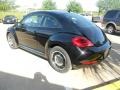 Black - Beetle 2.5L Photo No. 5