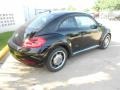 Black - Beetle 2.5L Photo No. 7