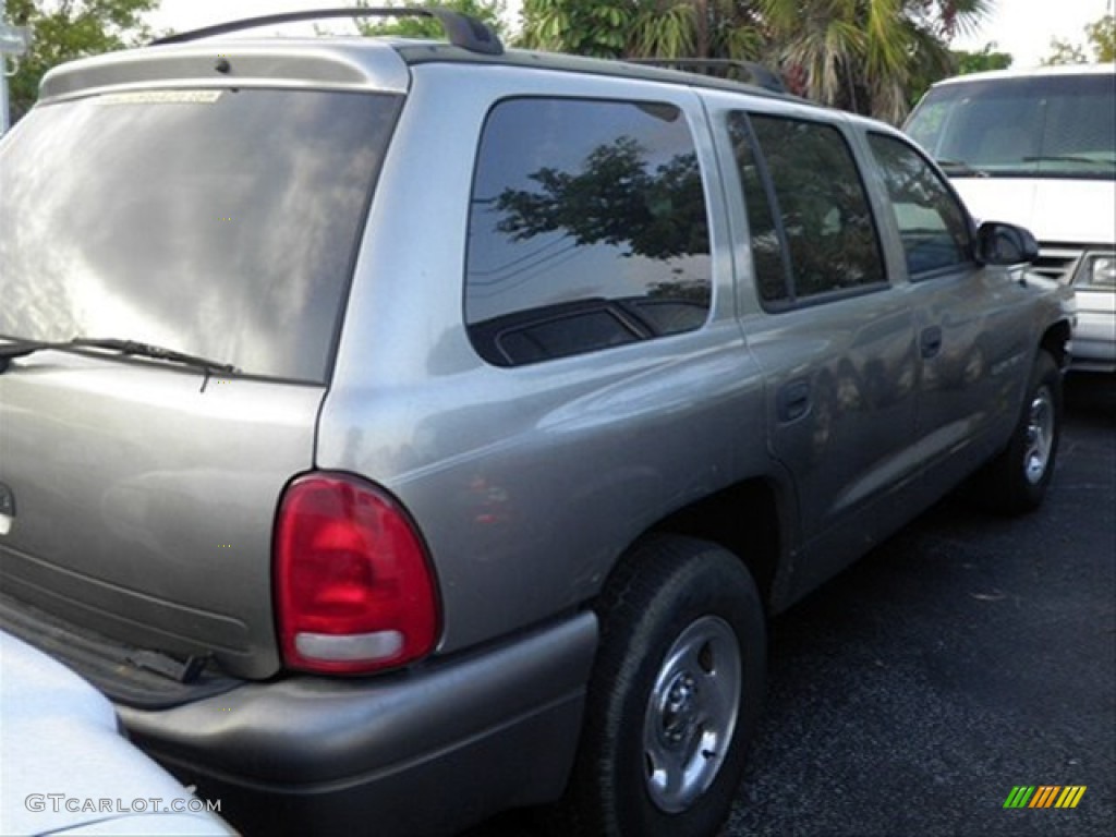1999 Durango SLT - Bright Platinum Metallic / Camel/Tan photo #3