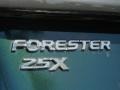 2003 Woodland Green Pearl Subaru Forester 2.5 X  photo #9