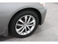 Platinum Graphite - G 37 x Sedan Photo No. 31