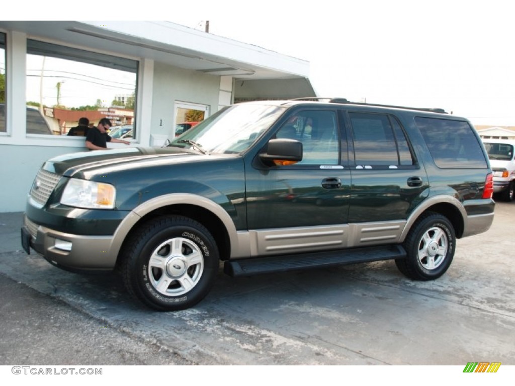2003 Expedition Eddie Bauer - Estate Green Metallic / Medium Parchment photo #1