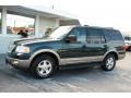 2003 Estate Green Metallic Ford Expedition Eddie Bauer  photo #1