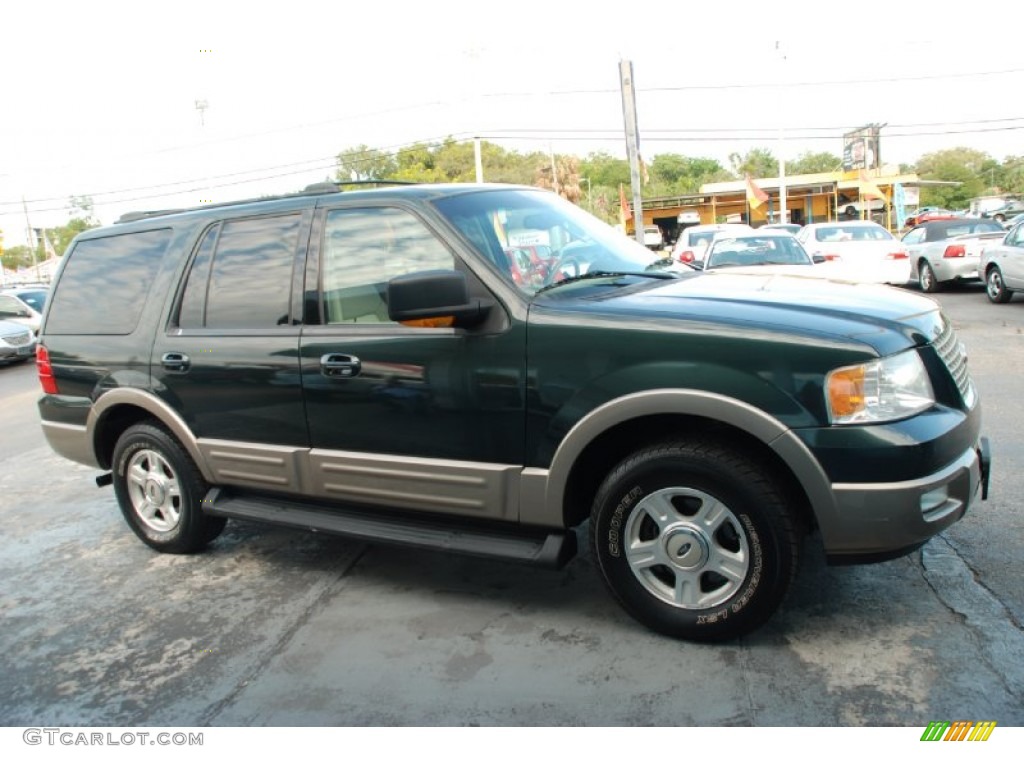 2003 Expedition Eddie Bauer - Estate Green Metallic / Medium Parchment photo #2