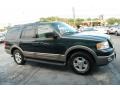2003 Estate Green Metallic Ford Expedition Eddie Bauer  photo #2