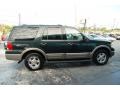 2003 Estate Green Metallic Ford Expedition Eddie Bauer  photo #3