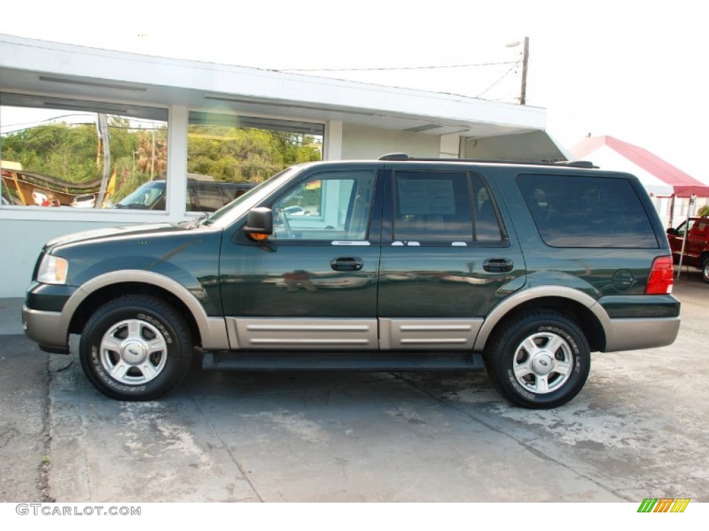 2003 Expedition Eddie Bauer - Estate Green Metallic / Medium Parchment photo #4