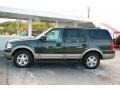 2003 Estate Green Metallic Ford Expedition Eddie Bauer  photo #4