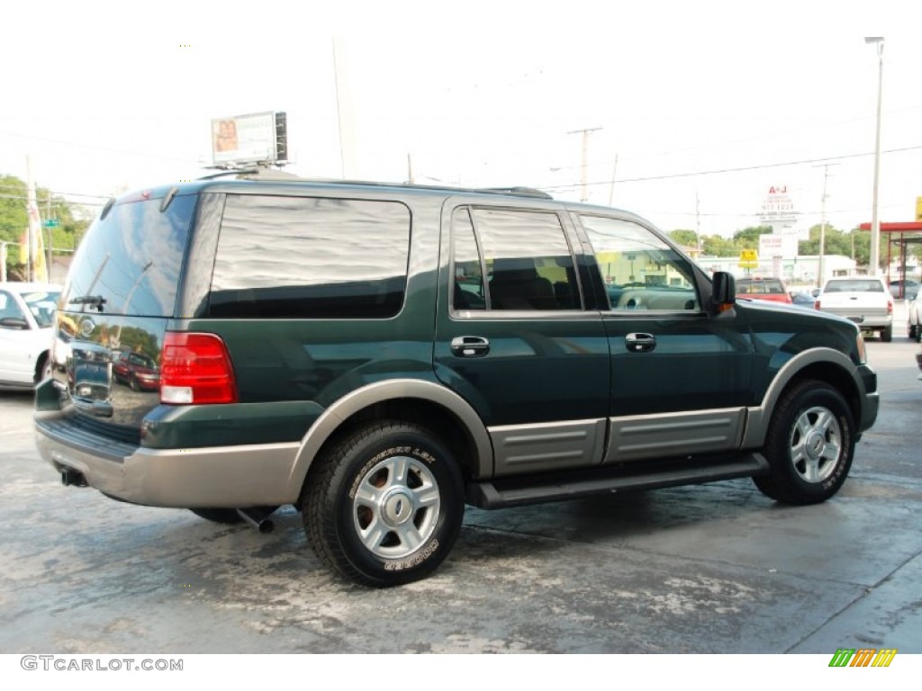 2003 Expedition Eddie Bauer - Estate Green Metallic / Medium Parchment photo #8