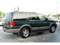 2003 Estate Green Metallic Ford Expedition Eddie Bauer  photo #8