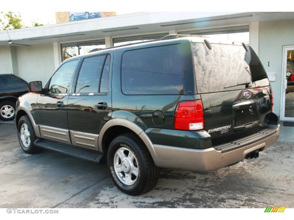 2003 Expedition Eddie Bauer - Estate Green Metallic / Medium Parchment photo #10