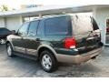 2003 Estate Green Metallic Ford Expedition Eddie Bauer  photo #10