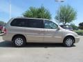 2005 Silky Beige Metallic Kia Sedona EX  photo #6