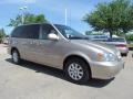 2005 Silky Beige Metallic Kia Sedona EX  photo #7