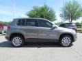 Alpine Grey Metallic - Tiguan S Photo No. 6