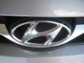 Titanium Gray Metallic - Elantra GLS Photo No. 22
