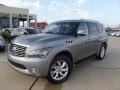 Platinum Graphite - QX 56 4WD Photo No. 1