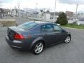 Anthracite Metallic - TL 3.2 Photo No. 24