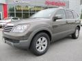 2009 Metal Bronze Kia Borrego LX V6 #63450751