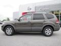 2009 Metal Bronze Kia Borrego LX V6  photo #2