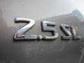 Pebble Beach Metallic - Altima 2.5 SL Photo No. 13