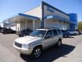 2003 Light Pewter Metallic Jeep Grand Cherokee Limited 4x4  photo #1