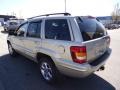 2003 Light Pewter Metallic Jeep Grand Cherokee Limited 4x4  photo #3