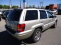 2003 Light Pewter Metallic Jeep Grand Cherokee Limited 4x4  photo #5