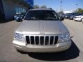 2003 Light Pewter Metallic Jeep Grand Cherokee Limited 4x4  photo #6