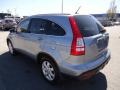 2009 Glacier Blue Metallic Honda CR-V EX-L 4WD  photo #3