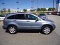 2009 Glacier Blue Metallic Honda CR-V EX-L 4WD  photo #6