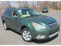 2010 Cypress Green Pearl Subaru Outback 2.5i Limited Wagon  photo #3