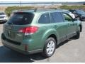 2010 Cypress Green Pearl Subaru Outback 2.5i Limited Wagon  photo #6