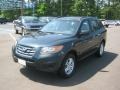 Pacific Blue Pearl - Santa Fe GLS Photo No. 1