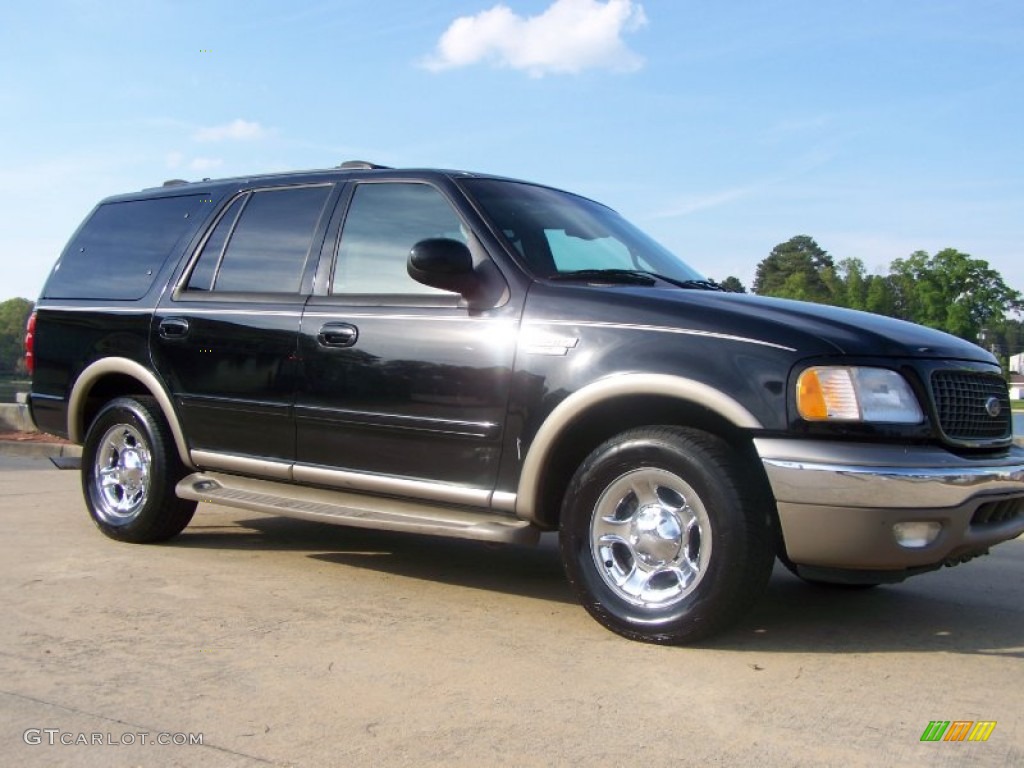 2001 Expedition Eddie Bauer - Black Clearcoat / Medium Parchment photo #31