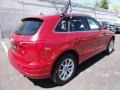 2009 Garnet Red Pearl Effect Audi Q5 3.2 Premium quattro  photo #9