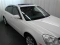 Clear White - Optima EX Photo No. 21